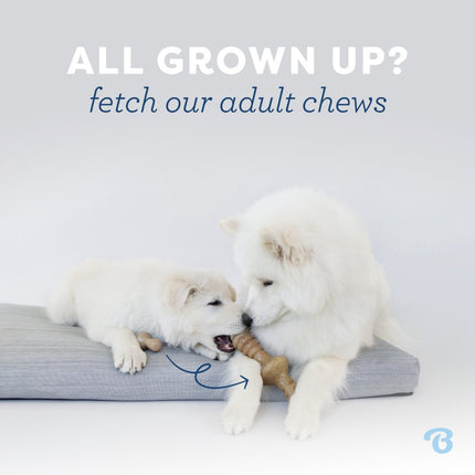 Puppy 2-Pack Maplestick & Zaggler
