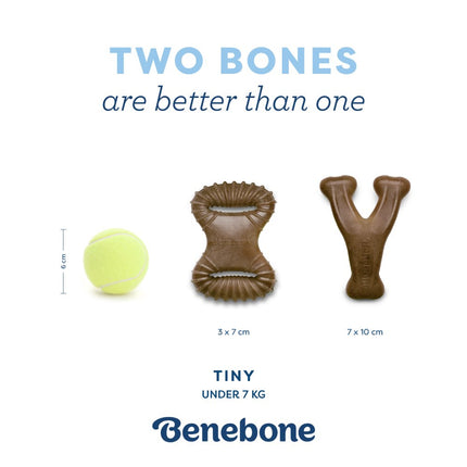 Welpenspielzeug 2er-Pack: Dental-Kauspielzeug & Wishbone