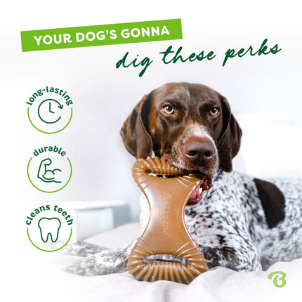 Dental Chew