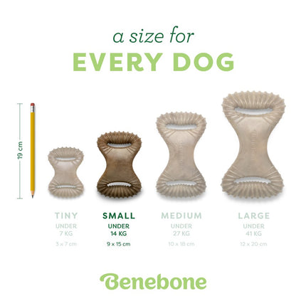 Dental Chew