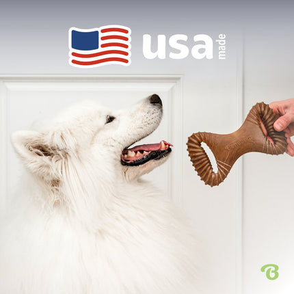 Dental Chew