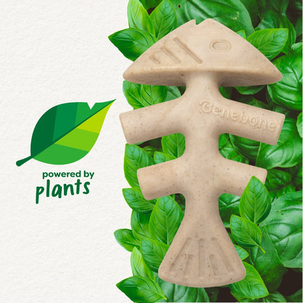 Green Fishbone Eco Bone
