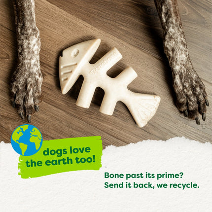 Green Fishbone Eco Bone