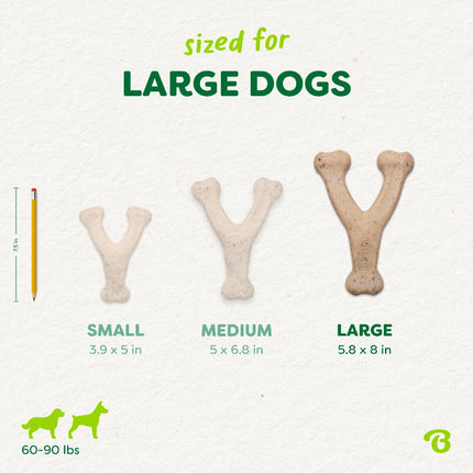 Green Wishbone Bacon Eco Bone