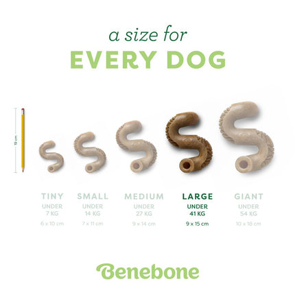 Tripe Bone