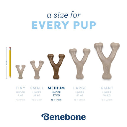 Puppy Wishbone