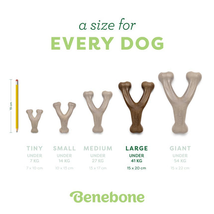 Wishbone