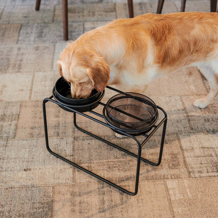 DAWN - Glass dog food bowl