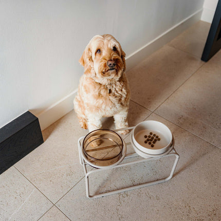 BUTLER Food Bowl Stand for Dogs