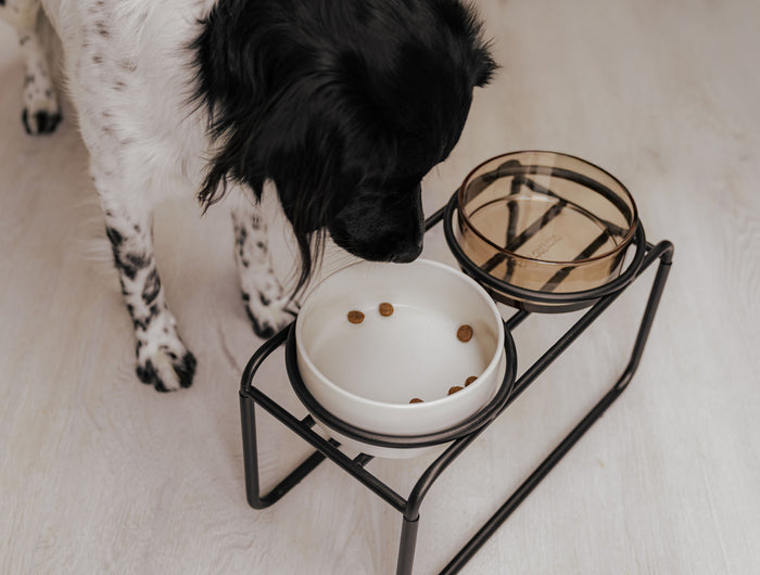 <h2>District 70 Dine concept</h2>