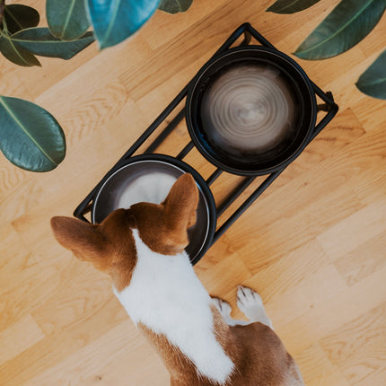 BUTLER Food Bowl Stand for Dogs