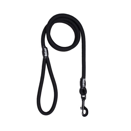 Basic Leash