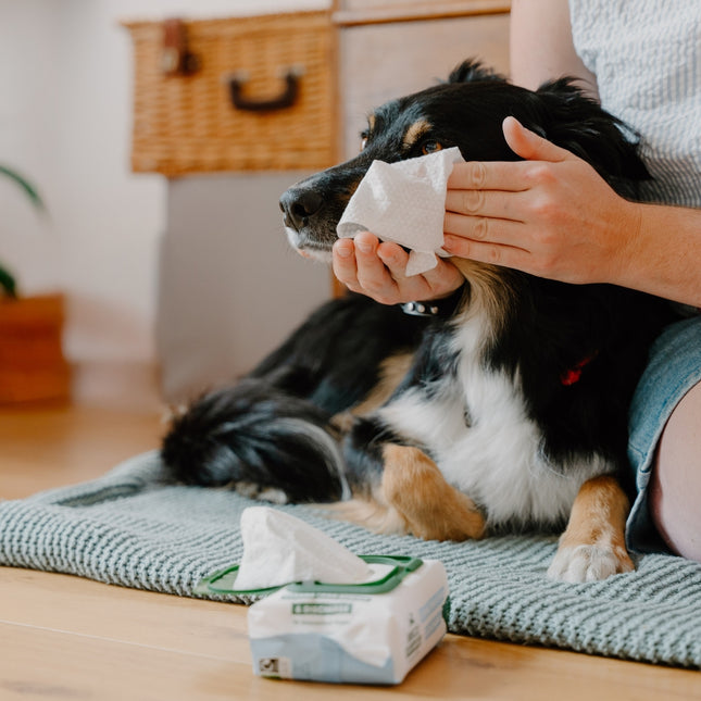 Dog Eye Wipes - Unscented - 70 Pack