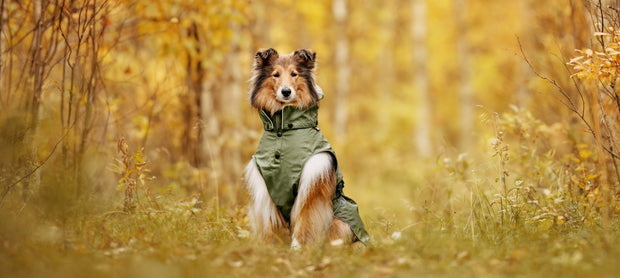 <h4>Why do you sell Rukka every season?</h4>