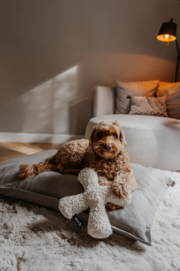 <h2>District 70</h2>