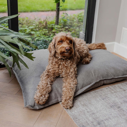 CLASSIC Dog Pillow