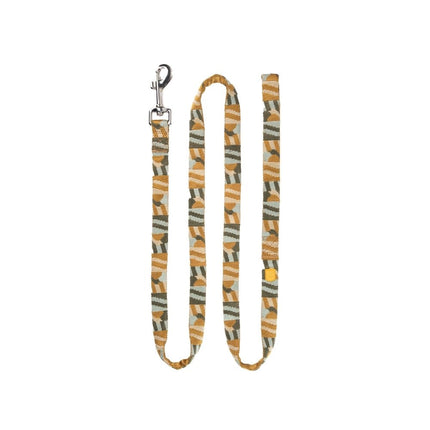 Cloudbeam Leash