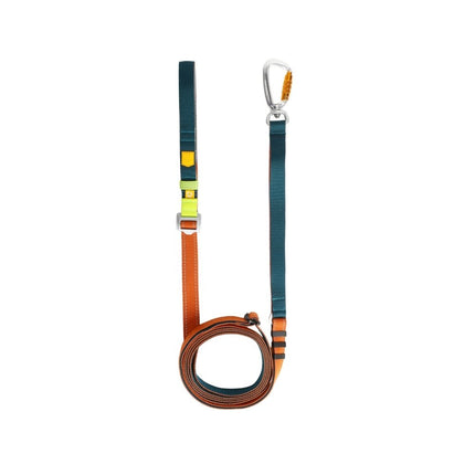 Color Block Multi-use Leash