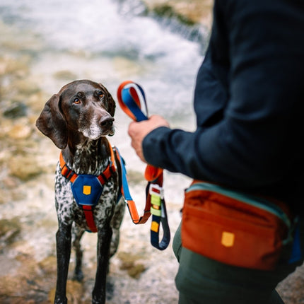 Color Block Multi-use Leash