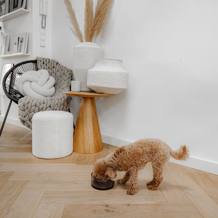 DAWN - Hundefutternapf aus Glas