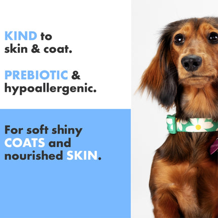 Welpenfell-Pflegeshampoo