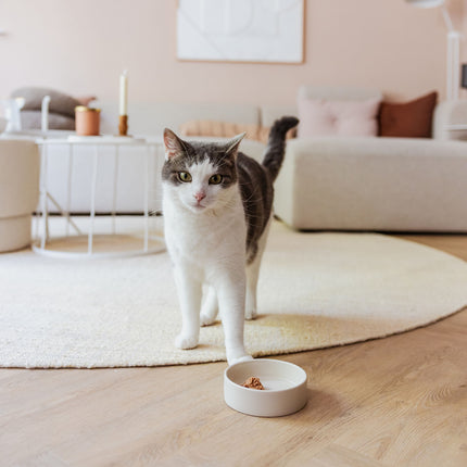 DUSK - Katzenfutternapf aus Keramik