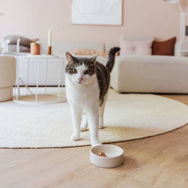 DUSK - Ceramic cat food bowl