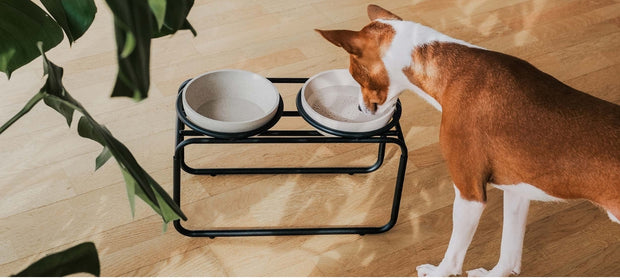 <h4>Discover the latest additions to the Dine concept</h4>