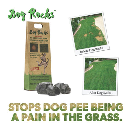 Dog Rocks Naturstein