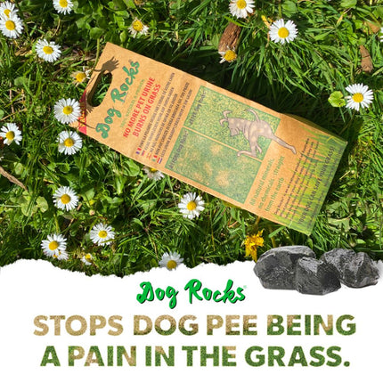 Dog Rocks Naturstein