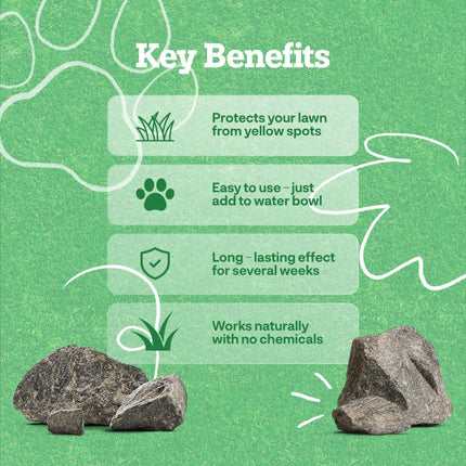 Dog Rocks Naturstein