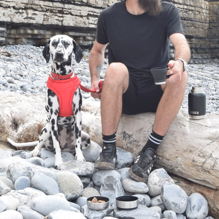 H2O Duo Day Trek Edelstahlflasche