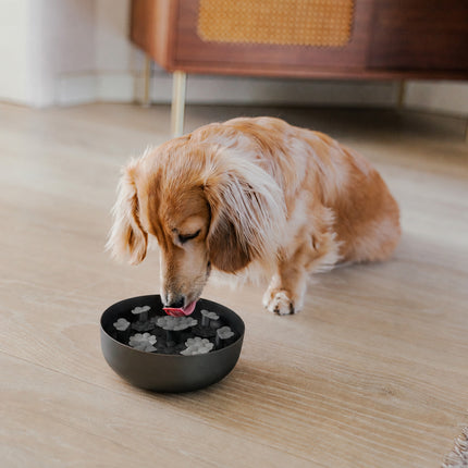 FLOWER Slow-Feeder-Einsatz
