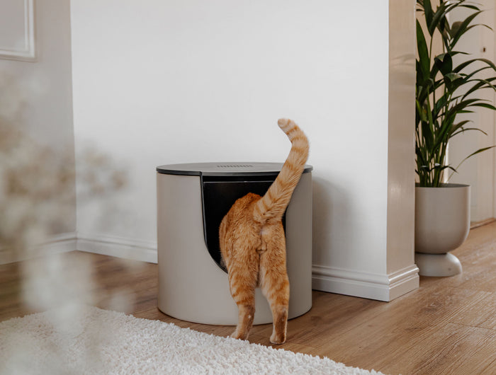 <h2>Modulares Design-Katzenklo</h2>