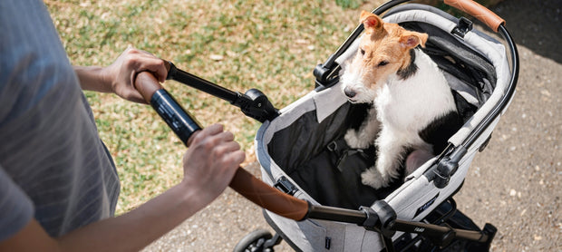 <h4>The Benefits of Pet Strollers</h4>