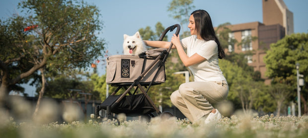 <h4>FikaGO now available at Warmako</h4>