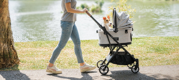 <h4>Situations where a pet stroller is ideal</h4>