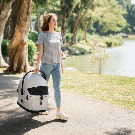 Flytta Plus - Detachable Pet Stroller (up to 20kg)