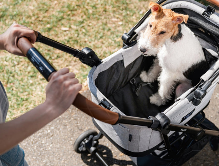 <h2>FikaGO Flytta Pet Stroller</h2>