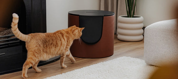 <h4>FUSE: Modulares Katzentoilette im Design als umfassendes Einzelhandelskonzept</h4>