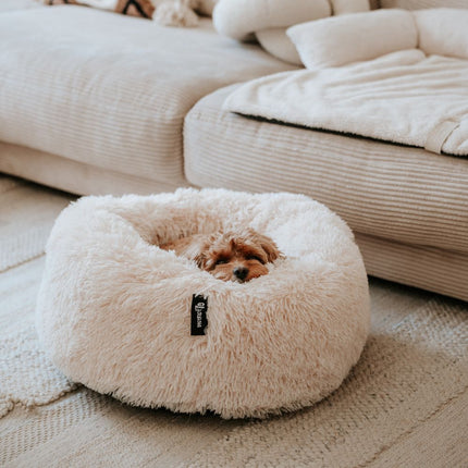 FUZZ
