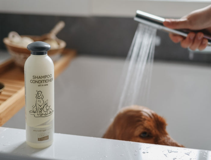 <h3>Perfect care for every coat</h3>