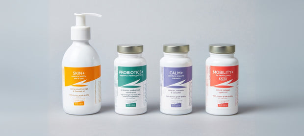 <h4>Increasing demand for supplements for dogs</h4>