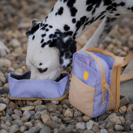 Hydration Shoulder Bag