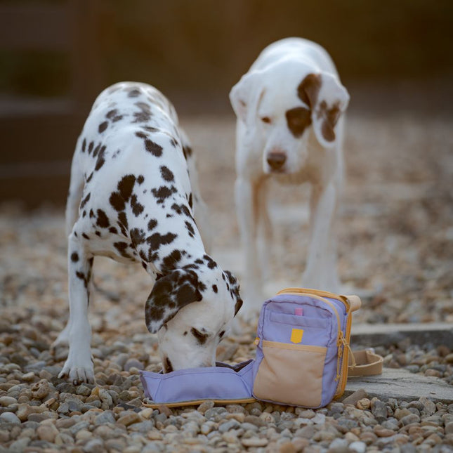 Hydration Shoulder Bag