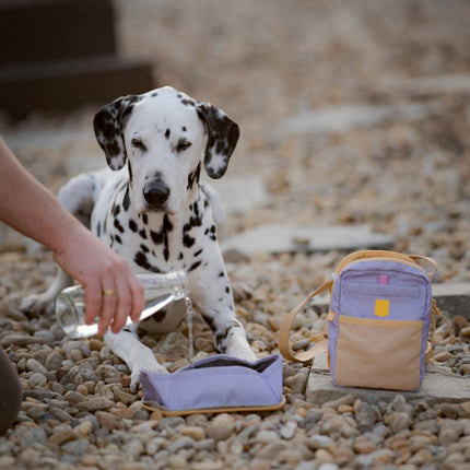 Hydration Shoulder Bag