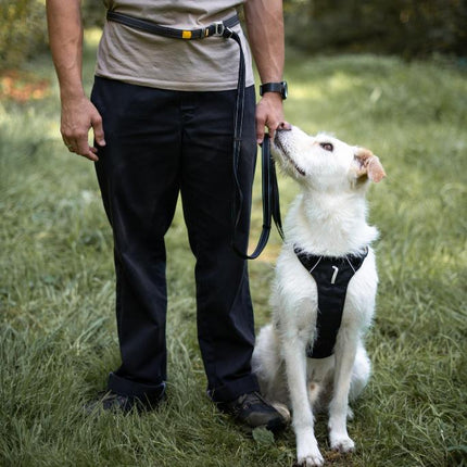 Multi-use Leash