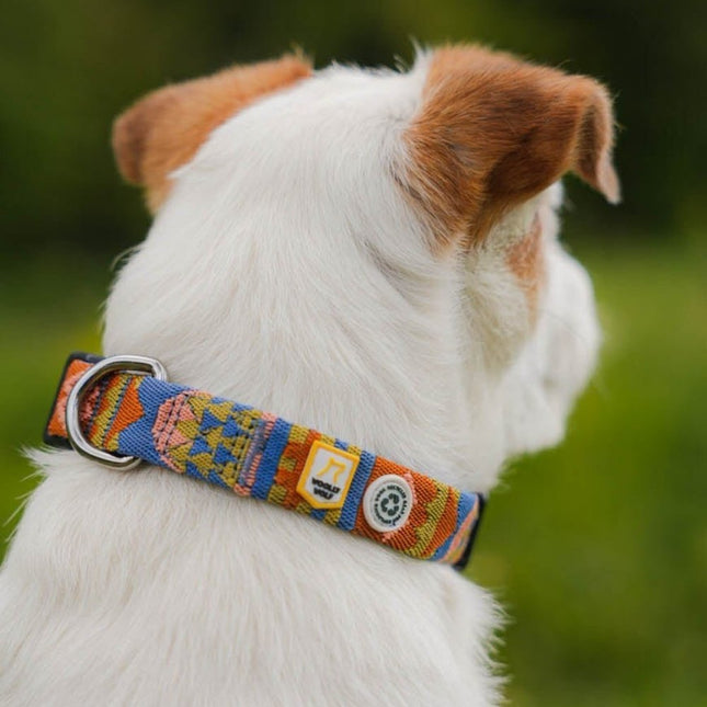 Nightless Night Collar