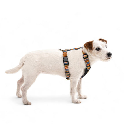 Nightless Night Harness