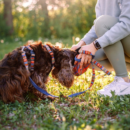 Nightless Night Harness